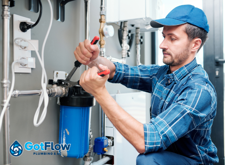 Got Flow Plumbing and AC Services Redefines Water Filtration Excellence with Comprehensive Inspection, Repair, and Replacement Services